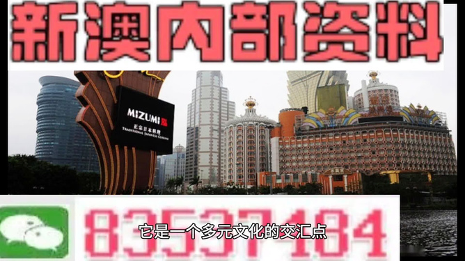 新澳門最精準(zhǔn)資料大全——警惕背后的違法犯罪風(fēng)險，新澳門最精準(zhǔn)資料背后的犯罪風(fēng)險警惕