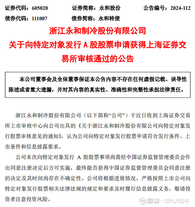 永和股份股票，深度解析與發(fā)展前景展望，永和股份股票深度解析與未來前景展望