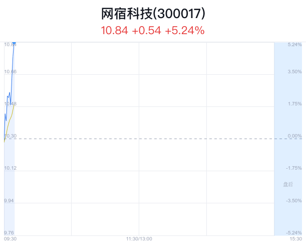 網(wǎng)宿科技，成長(zhǎng)之路與妖股之辯，網(wǎng)宿科技成長(zhǎng)之路與妖股爭(zhēng)議解析