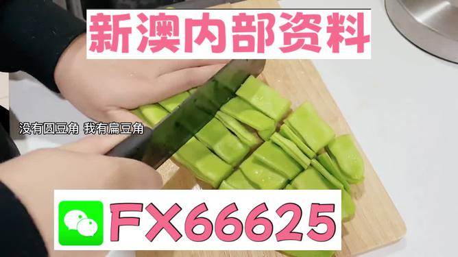 新澳姿料大全正版2023，探索與警示，新澳姿料大全正版2023版，探索與警示