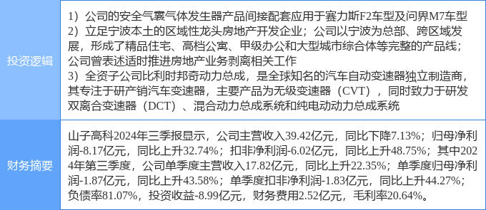 山子高科未來潛力，探索與前瞻，山子高科未來潛力展望與前瞻探索