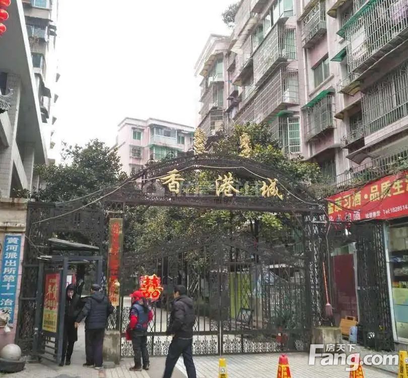 城地香江的未來，國家支持與企業(yè)的生存發(fā)展，城地香江的未來，國家支持與企業(yè)生存發(fā)展之路