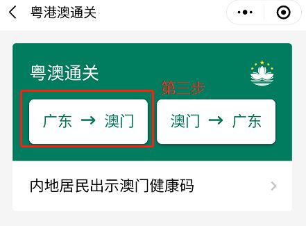 澳門碼資料與違法犯罪問題，澳門碼資料與違法犯罪問題探究