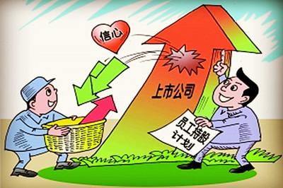 國能認(rèn)購原始股，探索能源行業(yè)的投資機(jī)遇與風(fēng)險(xiǎn)，國能認(rèn)購原始股，投資機(jī)遇與風(fēng)險(xiǎn)并存于能源行業(yè)