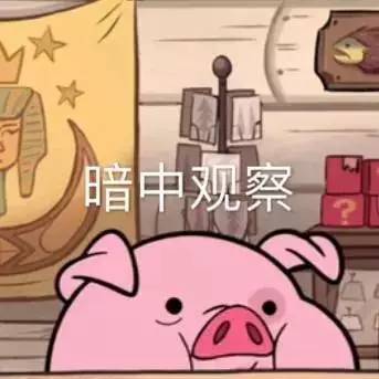 最新女人敲豬現(xiàn)象，探討背后的原因與應(yīng)對(duì)之策，最新女人敲豬現(xiàn)象背后的原因及應(yīng)對(duì)之策探討
