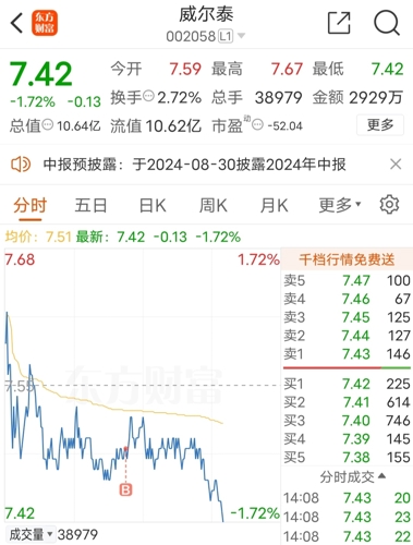 威爾泰股吧，股市中的一股活力源泉，威爾泰股吧，股市中的活力之星