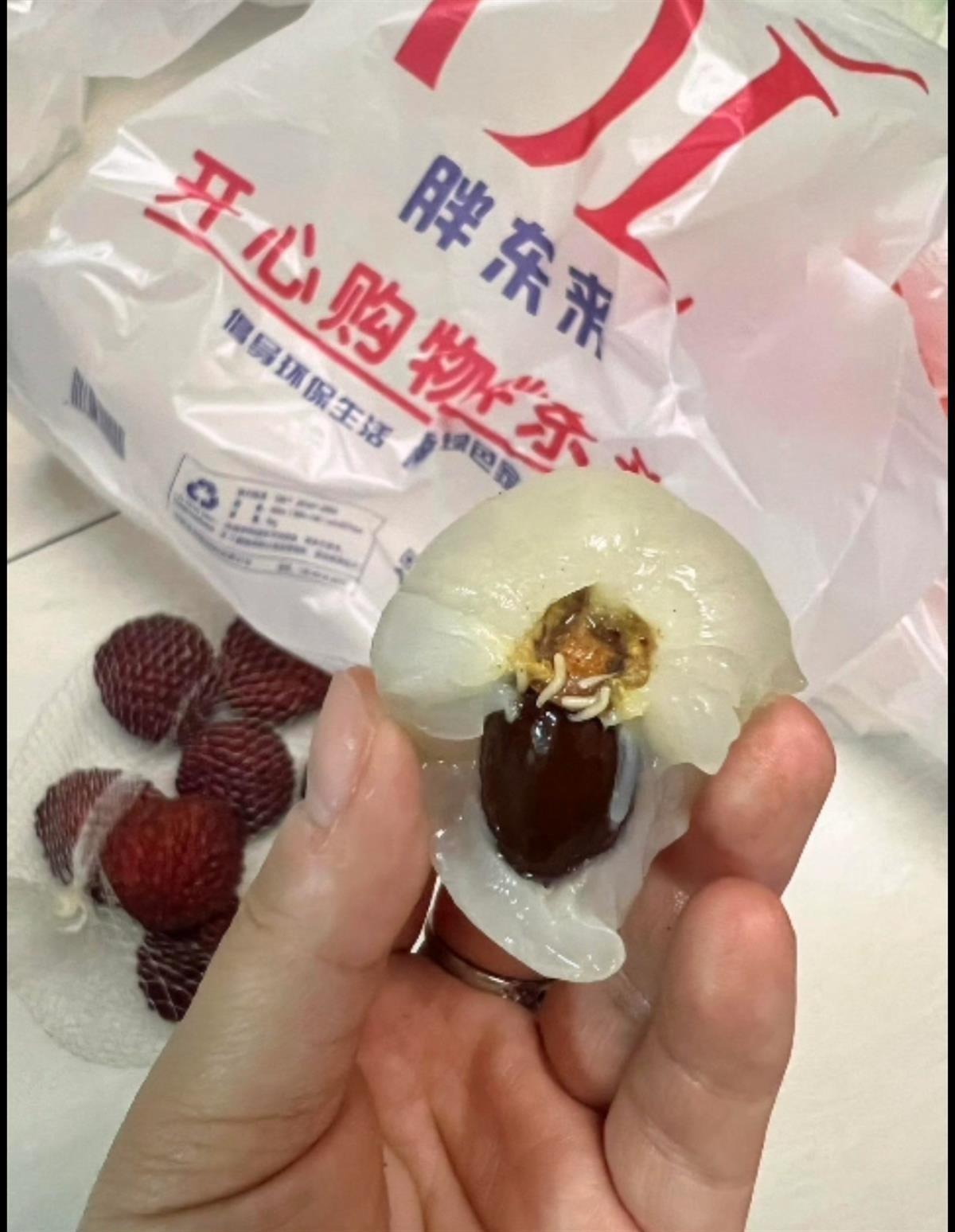 胖東來舉報與反饋渠道的重要性及其有效運用，胖東來舉報與反饋渠道的重要性及有效運用策略