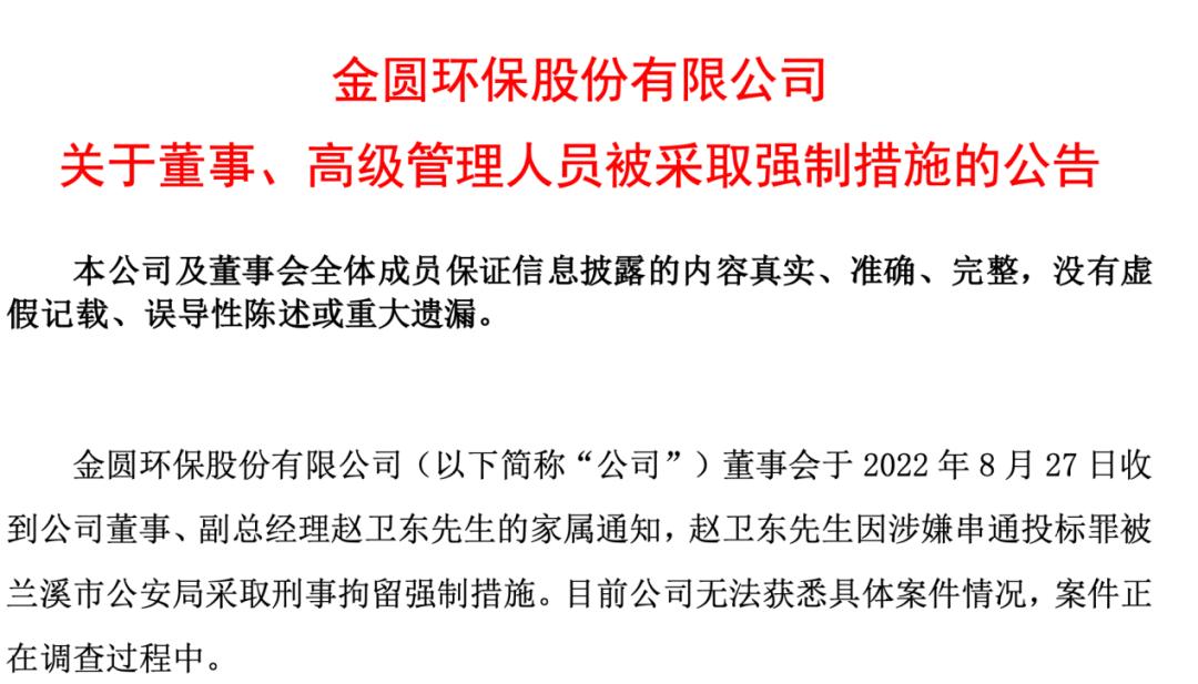 實(shí)控人被刑拘背后的股票大漲現(xiàn)象深度解析，實(shí)控人被刑拘背后的股票大漲現(xiàn)象揭秘