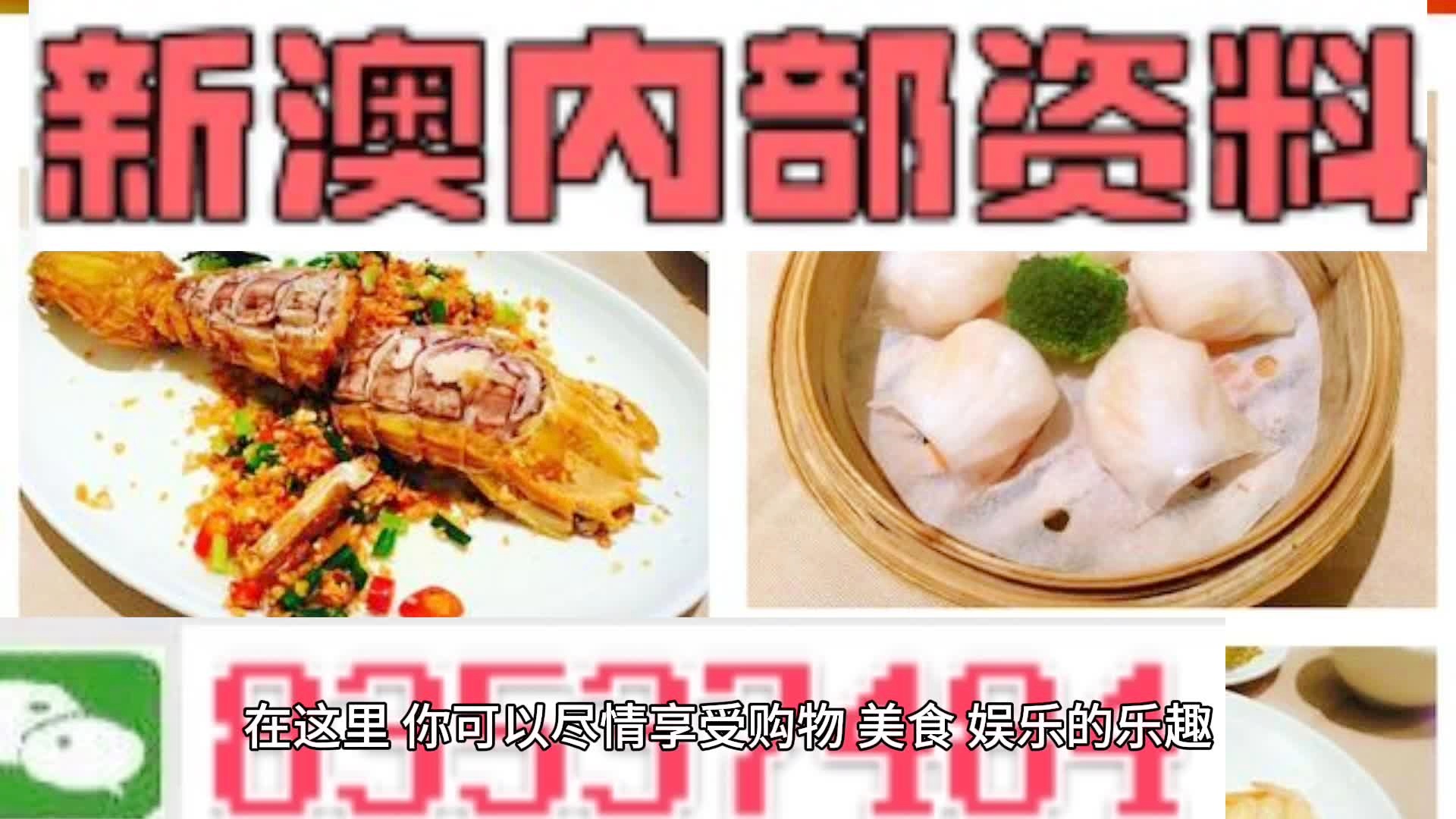 新奧天天精準資料大全，深度解析與實際應用，新奧天天精準資料大全，深度解析及實際應用指南