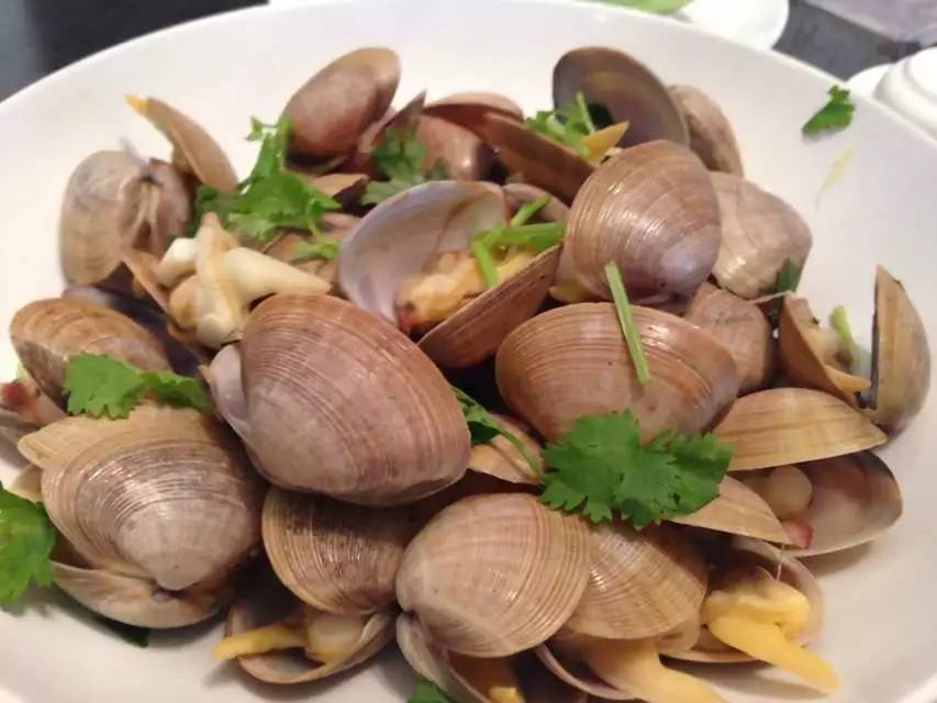 海螺新材，12月13日的快速上漲揭秘，海螺新材快速上漲背后的秘密，揭秘其背后的原因與趨勢(shì)