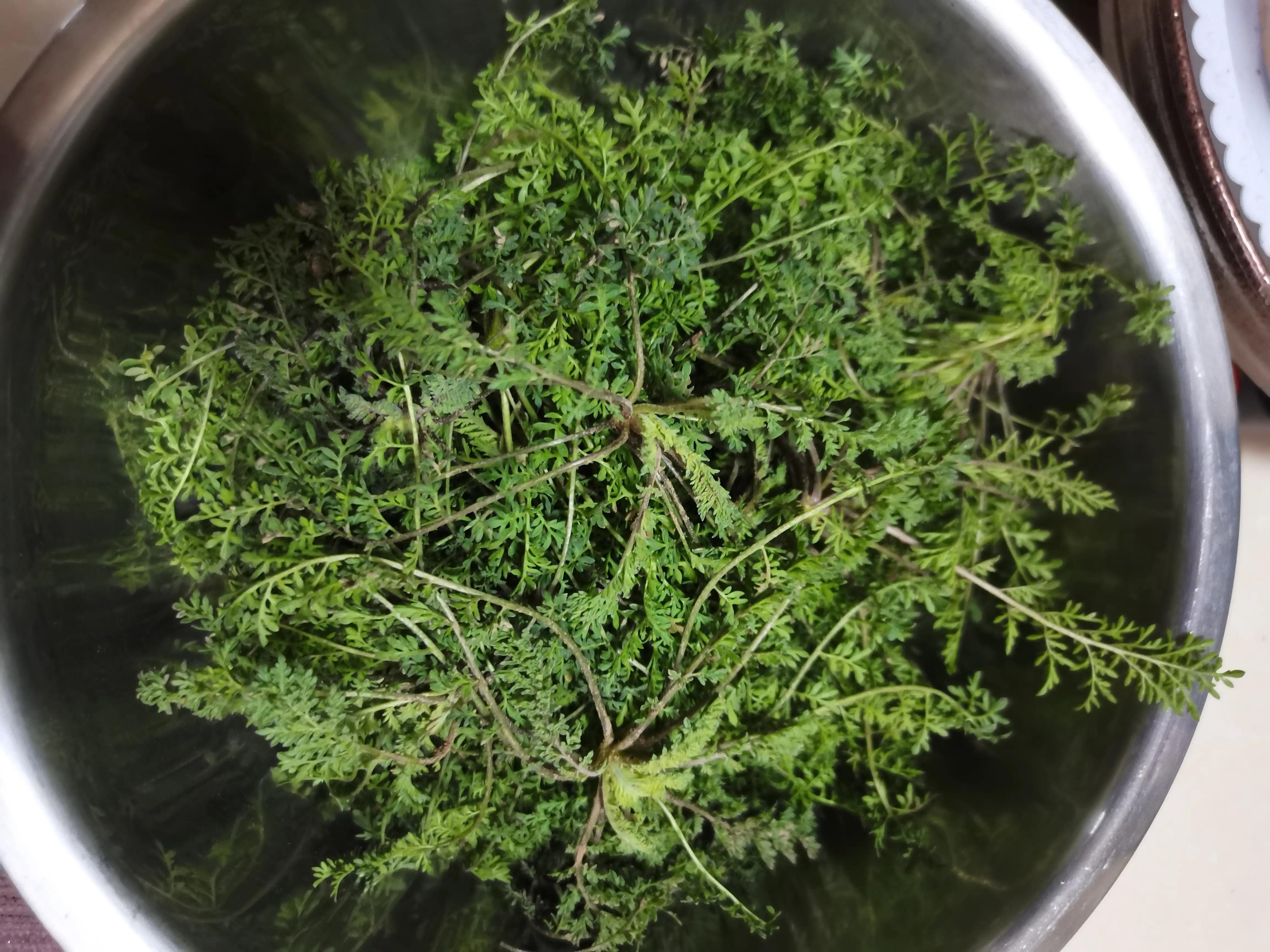 最新鮮的海洋探索之旅，探索未知的海洋奧秘，探索未知海洋奧秘，最新鮮的海洋探索之旅