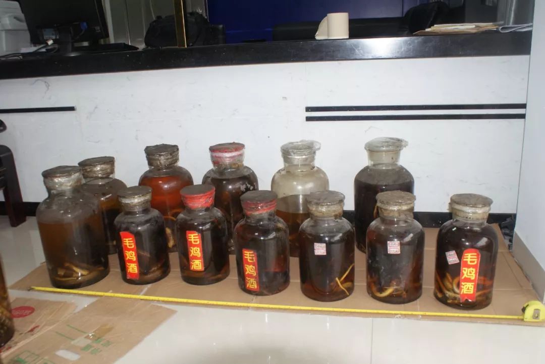 藥酒最新新聞，行業(yè)趨勢、創(chuàng)新研發(fā)與市場動態(tài)，藥酒行業(yè)最新動態(tài)，趨勢、創(chuàng)新與市場動態(tài)