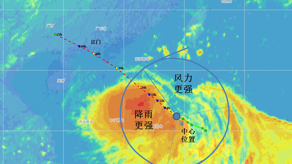 臺風(fēng)鸚鵡最新動態(tài)，影響與應(yīng)對措施，臺風(fēng)鸚鵡最新動態(tài)，影響及應(yīng)對策略