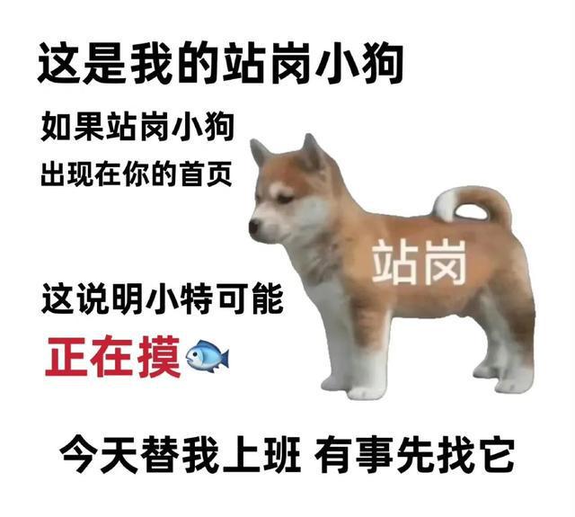 最新熱門(mén)梗探秘，一場(chǎng)網(wǎng)絡(luò)文化的狂歡，最新熱門(mén)梗探秘，網(wǎng)絡(luò)文化狂歡的盛宴