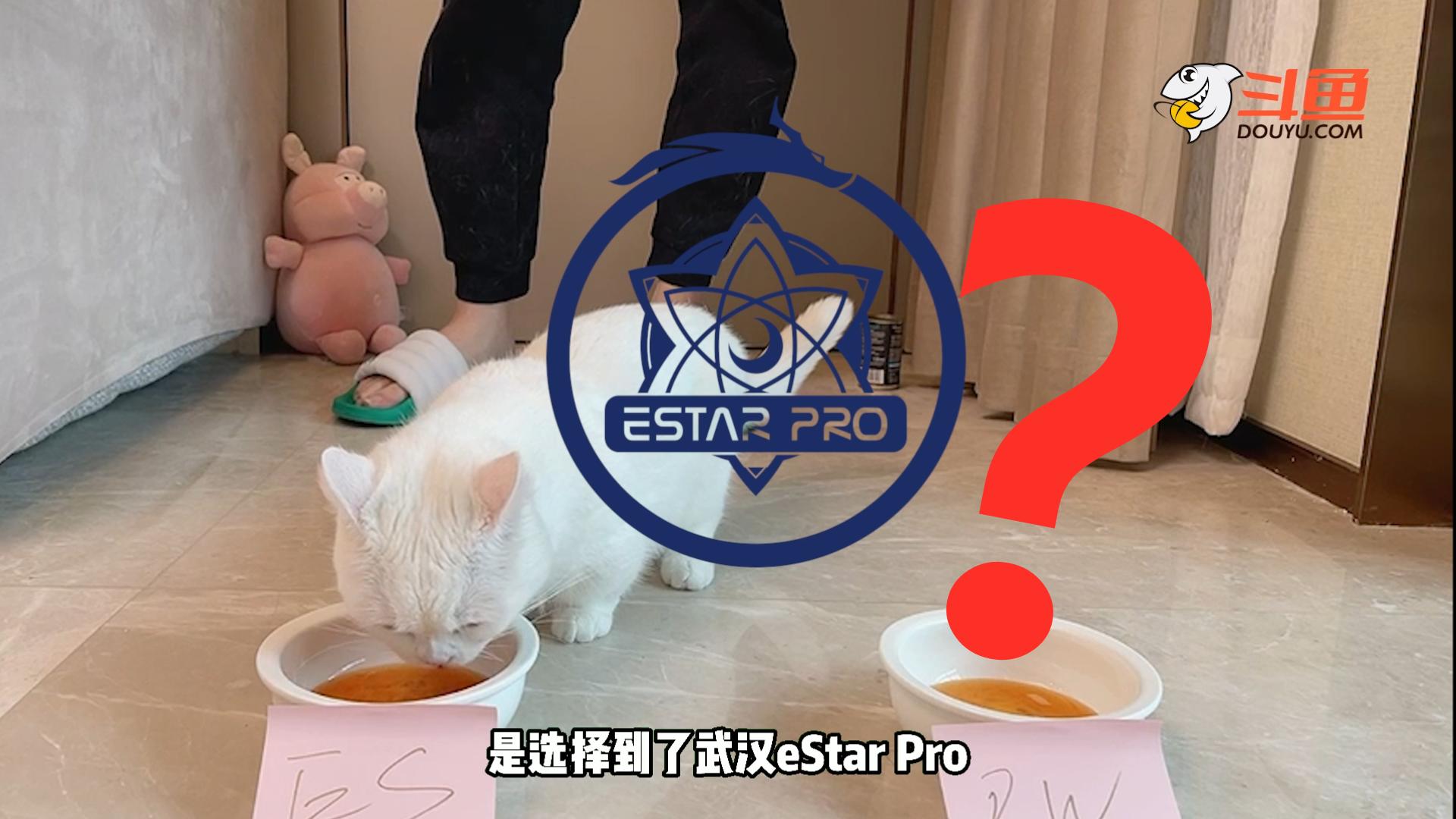 世冠杯最新動(dòng)態(tài)與進(jìn)展，世冠杯最新動(dòng)態(tài)與進(jìn)展概覽