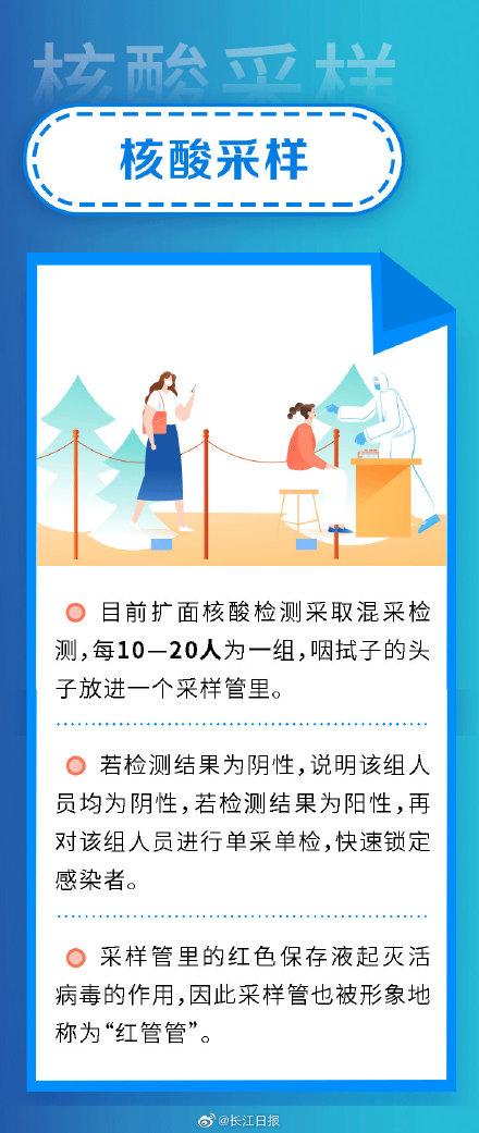 核酸檢測最新消息，技術進展與應用前景展望，核酸檢測技術最新進展與應用前景展望