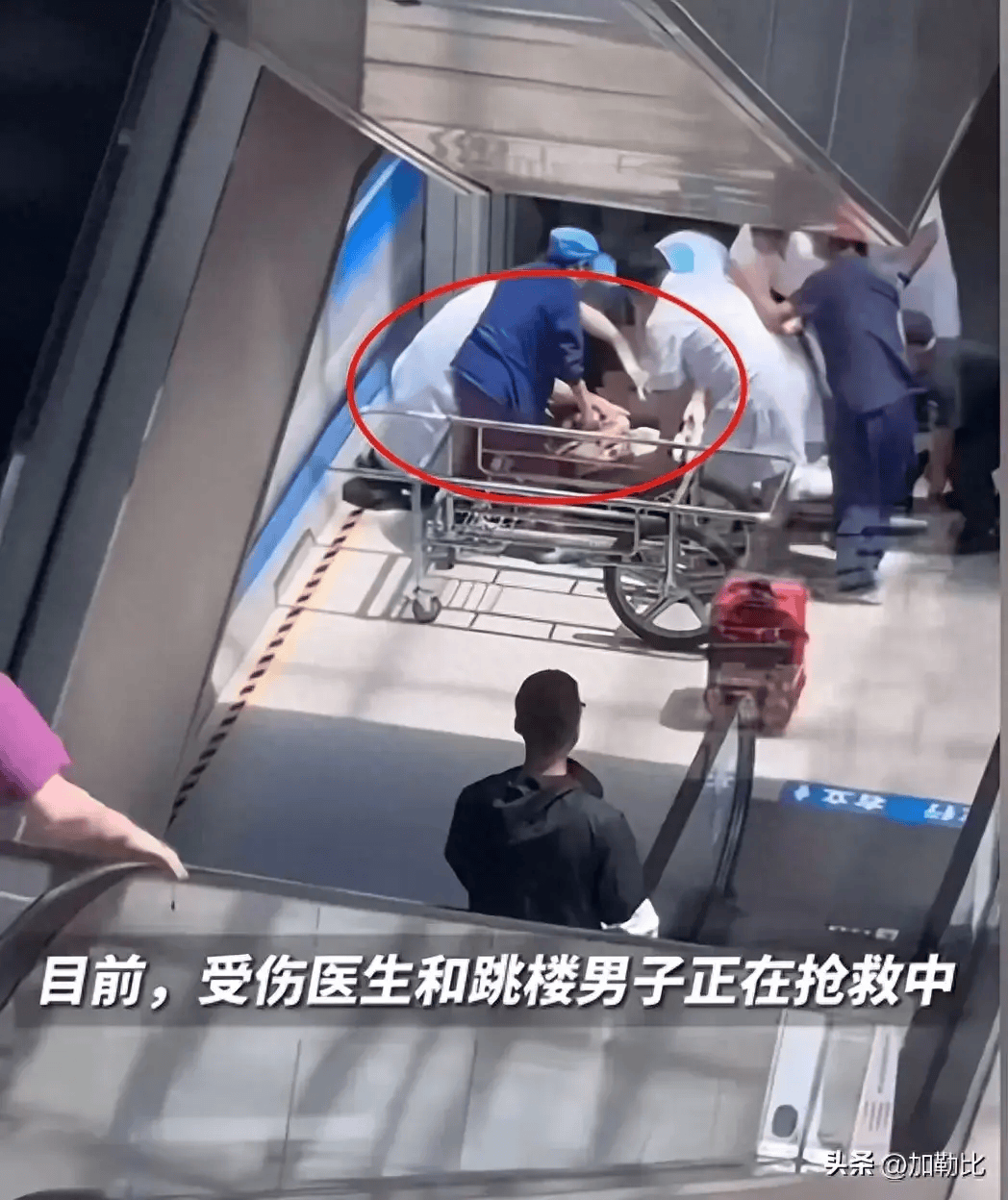 最新殺醫(yī)案件，反思社會現(xiàn)象與尋求解決之道，最新殺醫(yī)案引發(fā)社會反思，探尋解決之道