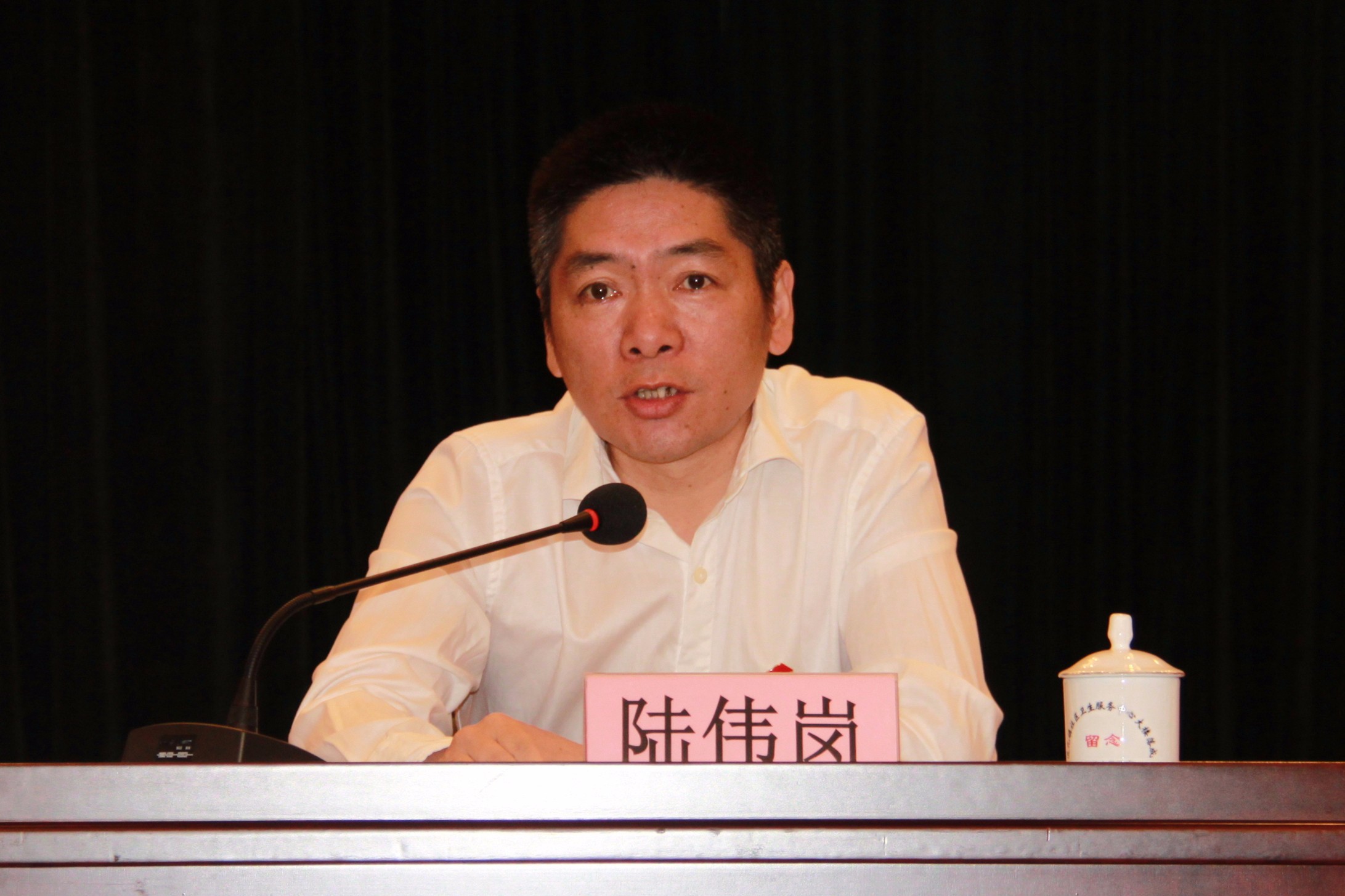 陸偉崗的最新動態(tài)與成就，陸偉崗的最新動態(tài)與成就概覽