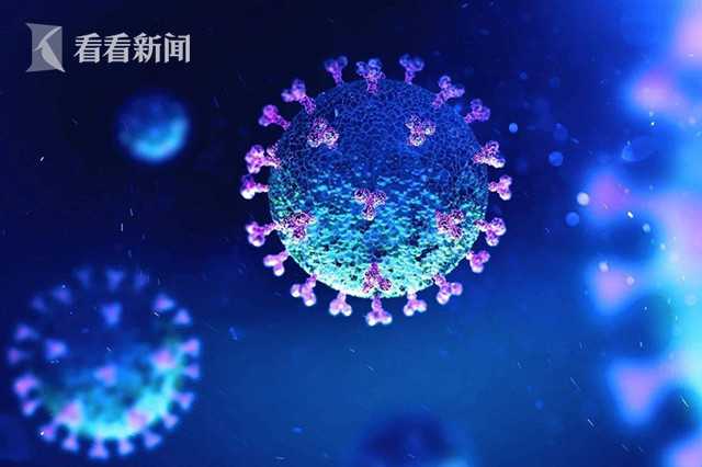 最新病毒日本，挑戰(zhàn)與應(yīng)對策略，日本面臨最新病毒挑戰(zhàn)，應(yīng)對策略揭秘
