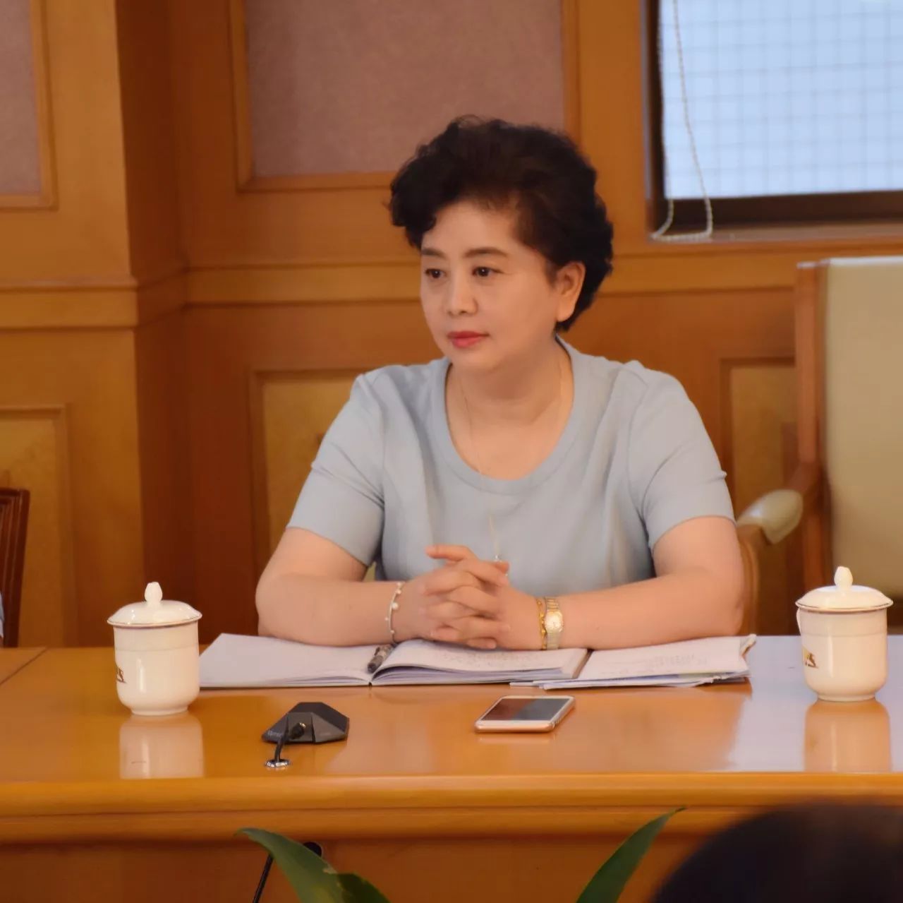 劉麗萍的一生，奮斗與堅(jiān)持的傳奇，劉麗萍，奮斗與堅(jiān)持的傳奇人生