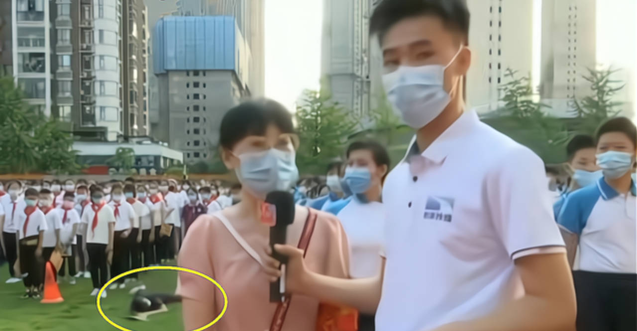 湖北一學(xué)生遭遇校園暴力，被同學(xué)打掉三顆牙，引發(fā)社會(huì)關(guān)注，湖北校園暴力事件，學(xué)生遭同學(xué)暴力襲擊失去三顆牙，引發(fā)社會(huì)關(guān)注熱議