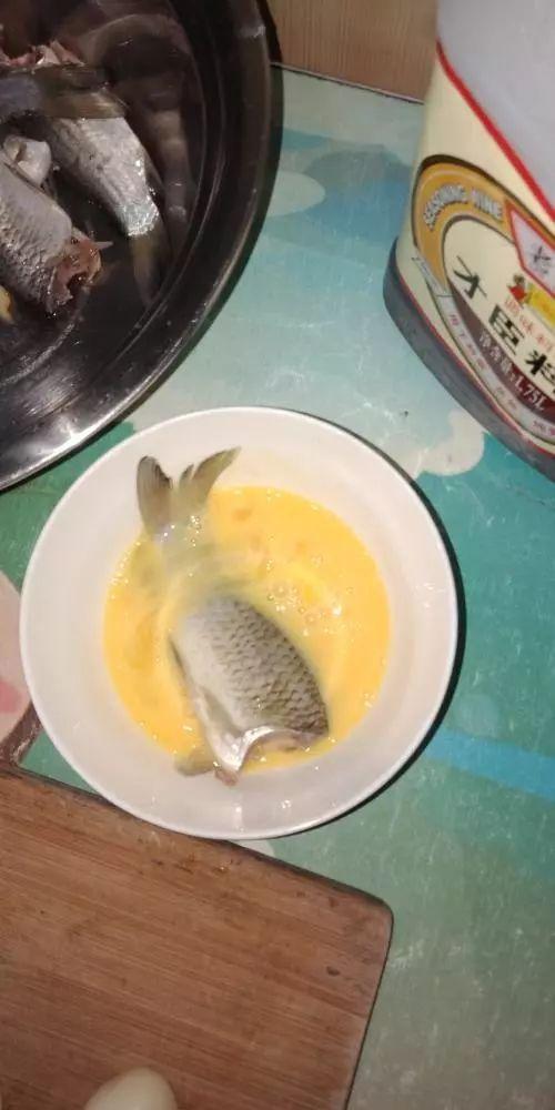 財(cái)神魚死亡與男子起鍋燒油含淚吃下的故事，男子含淚烹飪財(cái)神魚，死亡與食欲的交織故事