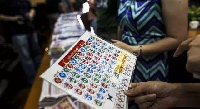 二肖中特期期準免費公開，揭示背后的風(fēng)險與犯罪問題，揭秘二肖中特背后的犯罪風(fēng)險與問題揭秘二肖中特期期準犯罪內(nèi)幕
