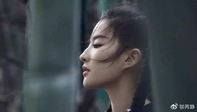 劉亦菲的駝峰鼻，美麗的新視角，劉亦菲駝峰鼻，探究美麗新視角