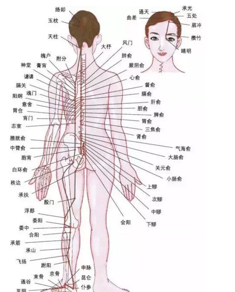 推薦 第1508頁(yè)