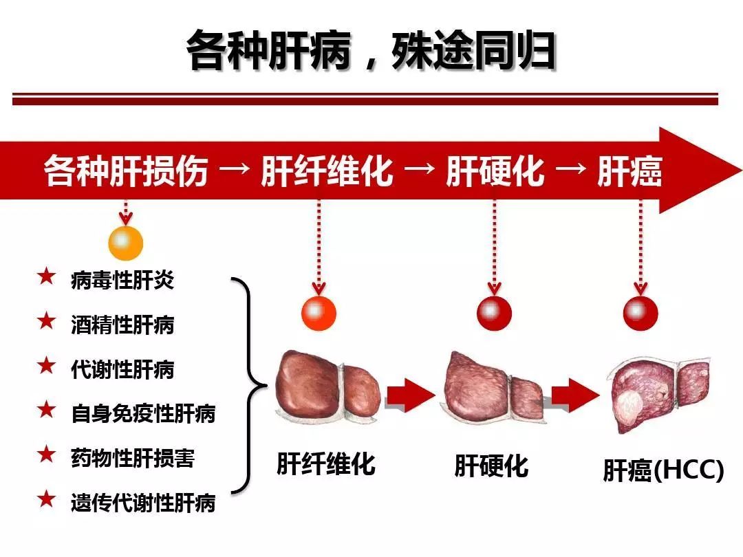 最新肝炎癥狀及其影響，理解、預(yù)防與應(yīng)對，最新肝炎癥狀、影響、預(yù)防與應(yīng)對策略解析