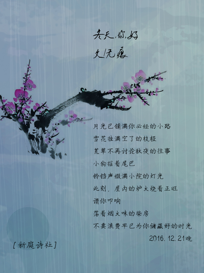 今日最新詩歌，探索詩意的世界，今日詩歌探索，詩意世界的無限魅力