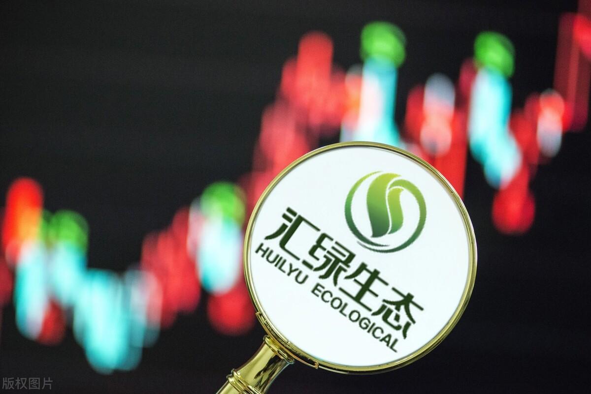 年內(nèi)52家公司退市A股，市場凈化與投資者教育的雙重考量，A股市場凈化與投資者教育，年內(nèi)52家公司退市觀察