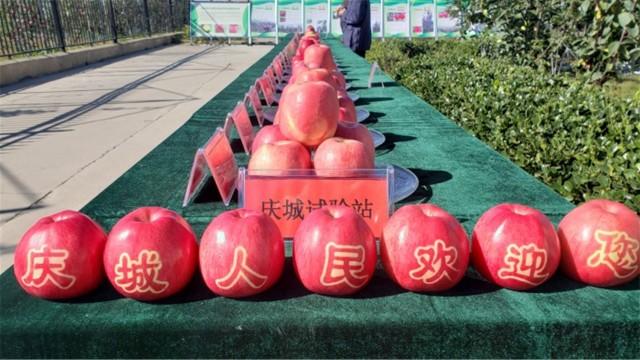 lianwei 第22頁(yè)