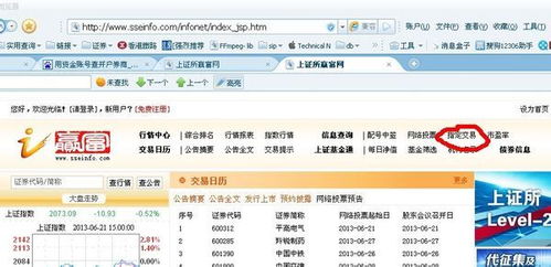上海A股賬戶查詢，全面解析與操作指南，上海A股賬戶查詢，全面解析與操作指南手冊