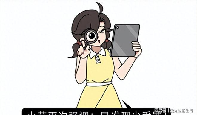 黃體破裂的預防措施，黃體破裂的預防措施及防治策略