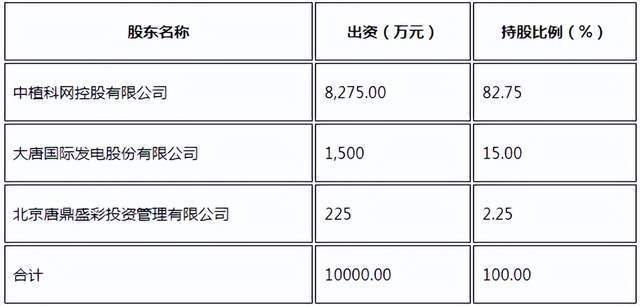大唐集團(tuán)存在大額關(guān)注類(lèi)擔(dān)保情況，分析與探討，大唐集團(tuán)大額關(guān)注類(lèi)擔(dān)保情況深度分析與探討