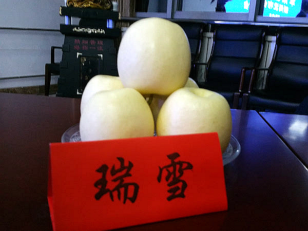 linhuijia 第26頁(yè)