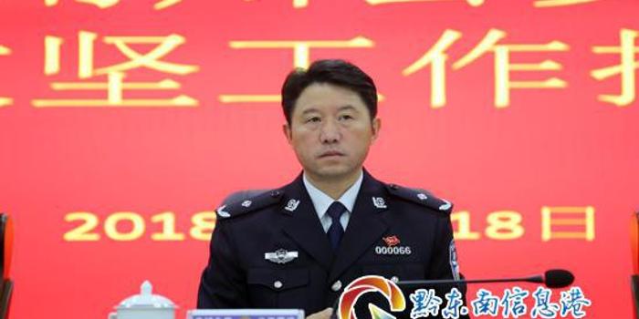 楊秀澗最新動(dòng)態(tài)與成就，楊秀澗最新動(dòng)態(tài)與成就概覽