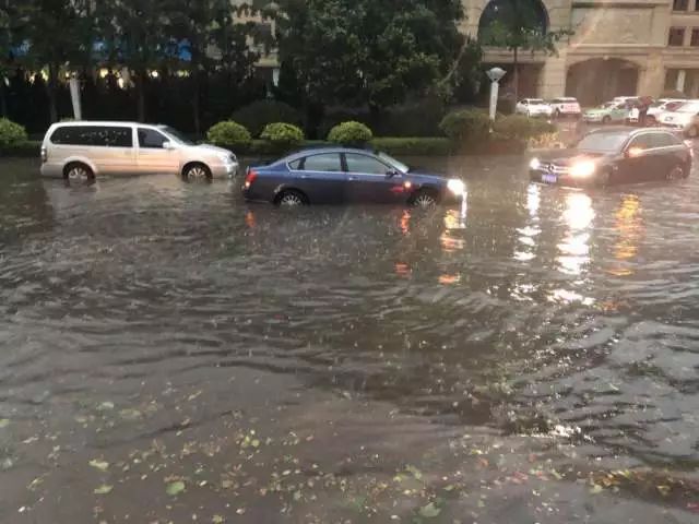 青島大暴雨最新情況報告，青島大暴雨最新情況報告，暴雨影響及應對措施分析