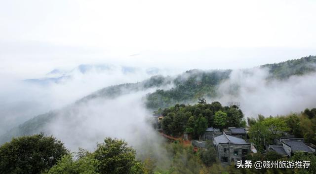最新云想山，自然之美與科技之力的完美結(jié)合，云想山，自然與科技完美交融之美