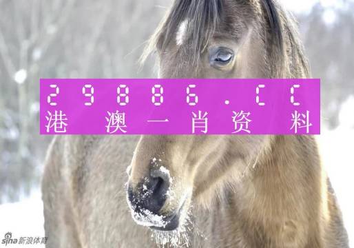 澳門一肖一碼，揭秘背后的真相與警示，澳門一肖一碼真相揭秘與警示分析