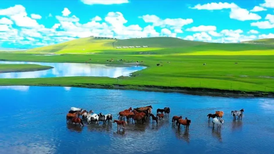 內蒙古旅游，草原之美與多彩文化的獨特魅力，內蒙古之旅，草原之美與多彩文化的獨特魅力