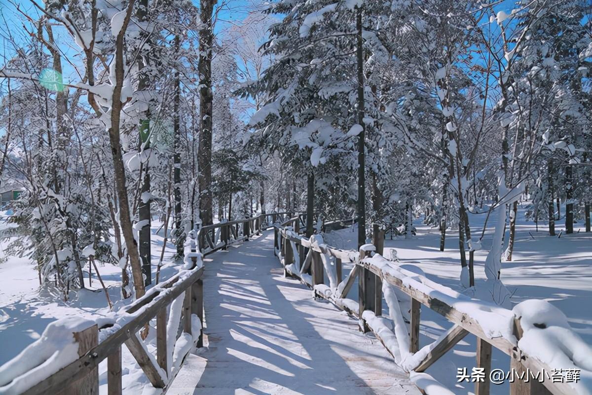 亞布力到雪鄉(xiāng)，便捷旅行攻略，亞布力到雪鄉(xiāng)便捷旅行攻略大全