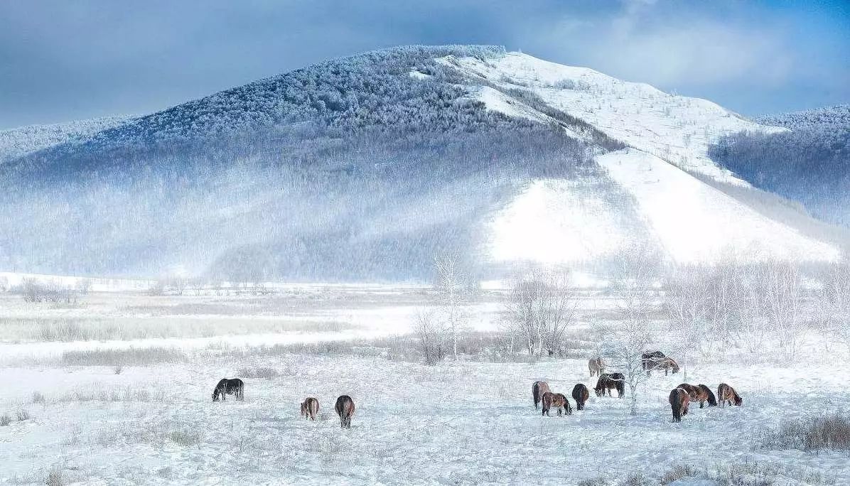 國內(nèi)哪里雪景最美——探尋中國最美的雪景勝地，中國最美的雪景勝地探尋之旅