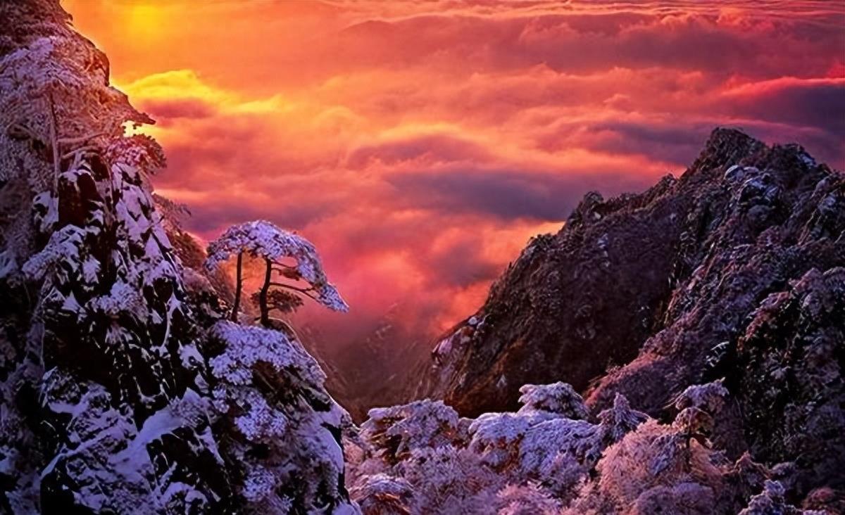 哪里的雪景最好看——探尋最美的雪域風光，探尋最美雪域風光，哪里雪景最迷人？