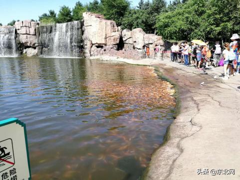 哈爾濱必去四大景點(diǎn)探訪指南，哈爾濱四大必去景點(diǎn)探訪攻略