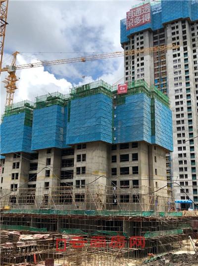 鉑金礦廠最新動(dòng)態(tài)與技術(shù)革新探討，鉑金礦廠最新動(dòng)態(tài)與技術(shù)革新深度探討