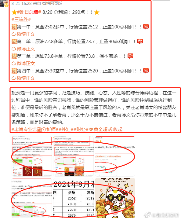 揭秘2024年管家婆的馬資料——探尋未來趨勢與特點，揭秘未來趨勢，2024年管家婆的馬資料特點展望
