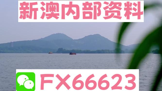 探索2024新澳正版免費(fèi)資料的世界，探索2024新澳正版免費(fèi)資料的世界之旅