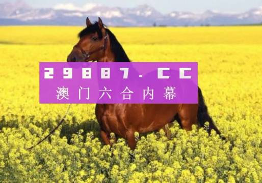 揭秘澳門(mén)六開(kāi)彩結(jié)果，探索彩票背后的故事與啟示（XXXX年視角），XXXX年視角下的澳門(mén)六開(kāi)彩結(jié)果揭秘，彩票背后的故事與啟示探索